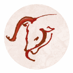sternzeichen stier
